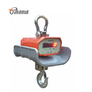 直視耐高溫吊鉤秤